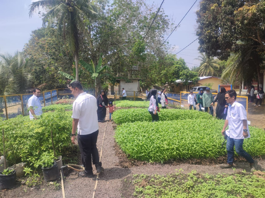 Pengelolaan Lingkungan Hidup di PTPN III Labuhanbatu Diapresiasi AJWI