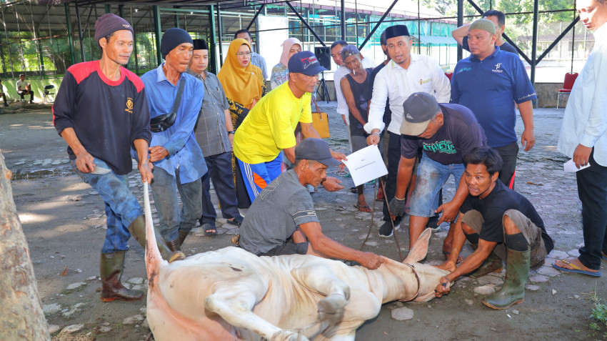 Kembali Gelar Qurban, Rektor UIN Sumut Ajak Semangat Berbagi