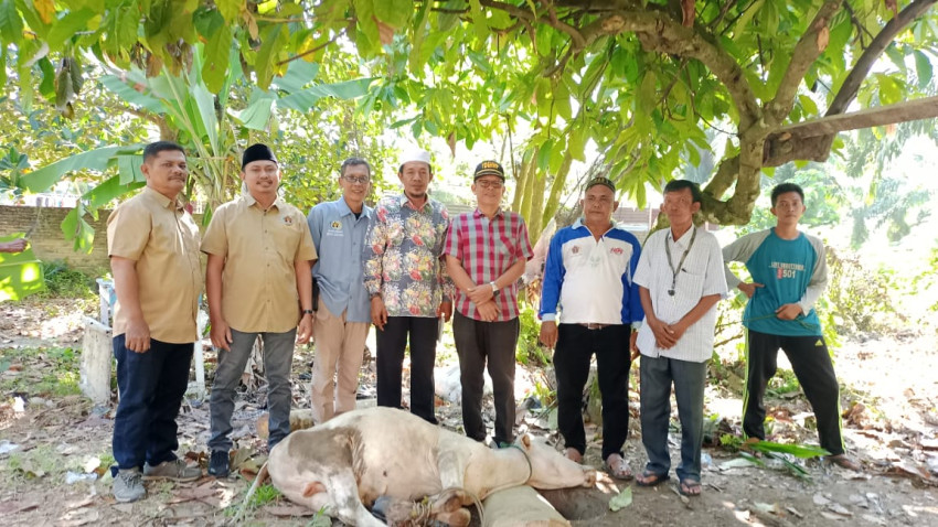 Perdana, PWI Deliserdang Sembelih 1 Hewan Kurban