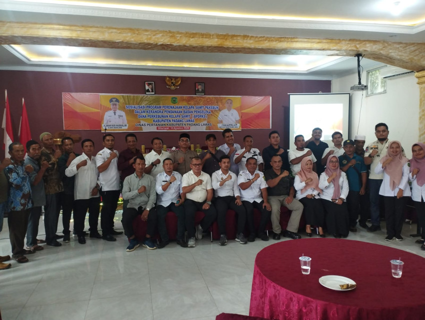 Dinas Pertanian Palas Gelar Sosialisasi Program Peremajaan Kelapa Sawit Rakyat