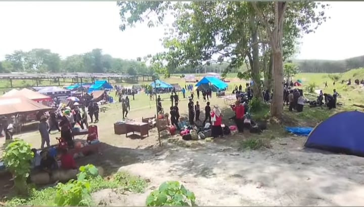 Angin Kencang Landa Lokasi Perkemahan Pramuka, 1 Orang Meninggal Ditimpa Pohon