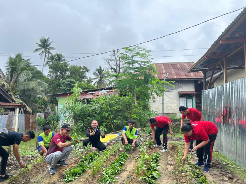 Rutan Sibuhuan Panen Sayur Mayur,  Dukung Program Ketahanan Pangan Nasional
