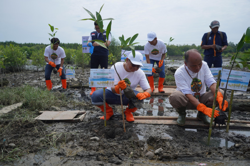 Pelindo Multi Terminal Group Tanam 11.000 Mangrove di Danau Siombak