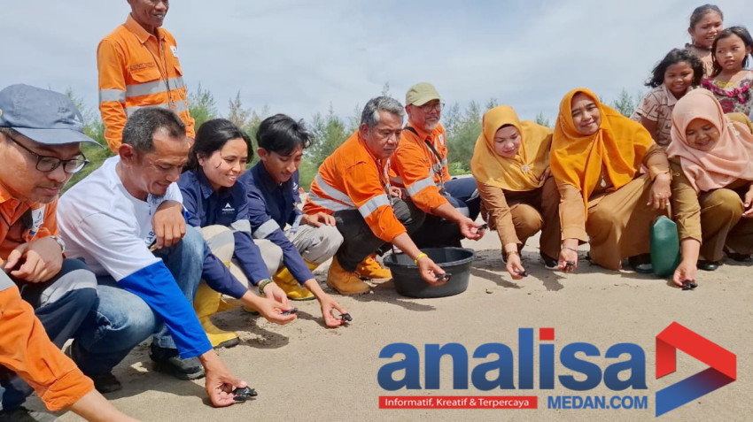 Serah Terima Bangunan Sekaligus Pelepasan Penyu Bersama PT Agincourt Resources di Desa Muara Upu
