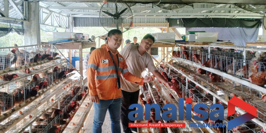 PT AR Berdayakan Anak Muda, Batangtoru Bakal Surplus Telur dan Daging