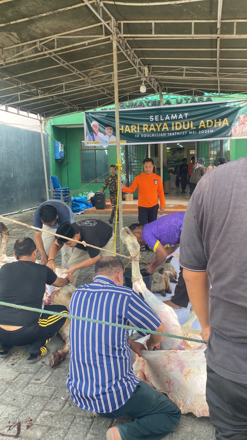 PWNU Sumut Sembelih Hewan Kurban, Warga NU Rasakan Kebahagiaan Idul Adha