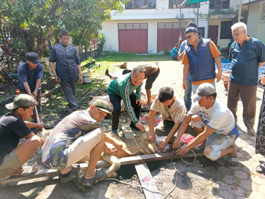 PWI Sumut Tebar Kepedulian Iduladha 1447 H, Sembelih 4 Sapi dan 2 Kambing
