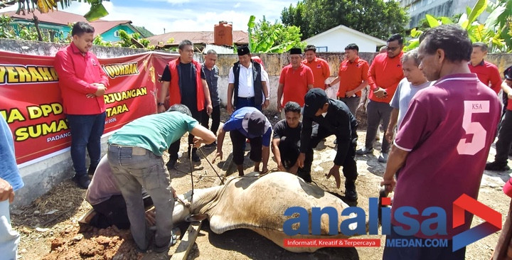 Tak Gunakan APBN, PDIP Salurkan 113 Ekor Sapi Kurban di Sumut