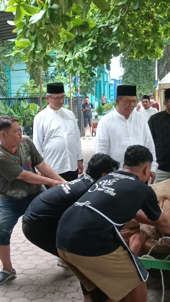 Universitas Medan Area Sembelih 24 Ekor Lembu dan 2 Ekor Kambing pada Iduladha 1447 H