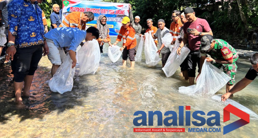 PT AR Tebar Ribuan Bibit Ikan Jurung di Lubuk Larangan Hapesong Lama