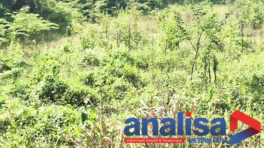 Bertahun Saluran Irigasi Rusak, Petani di Sidimpuan Rugi Rp115 Miliar