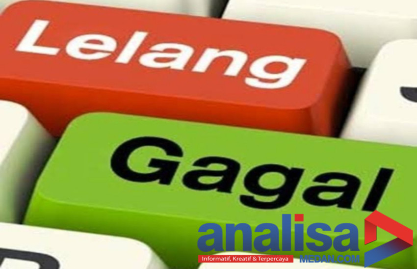 Dari 12 Proyek Pemko Padangsidimpuan, 5 Gagal Tender Lagi